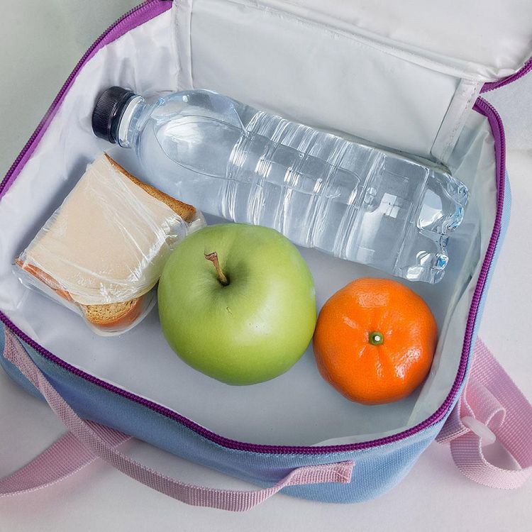 Insulated Lunch Bag BLUEY