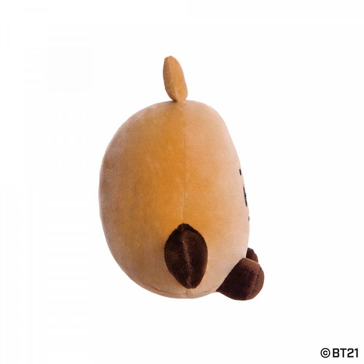 Small Soft Toy in Gift Packaging BT21 Baby Shooky 20cm