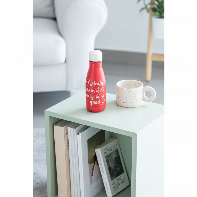 Metallic Bottle Hot&Cold 260ml HARRY POTTER