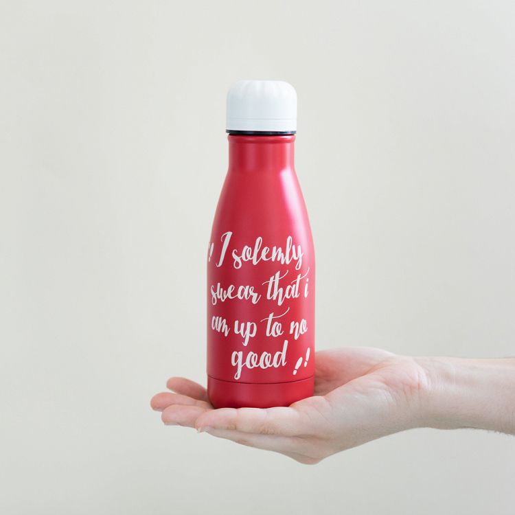 Metallic Bottle Hot&Cold 260ml HARRY POTTER