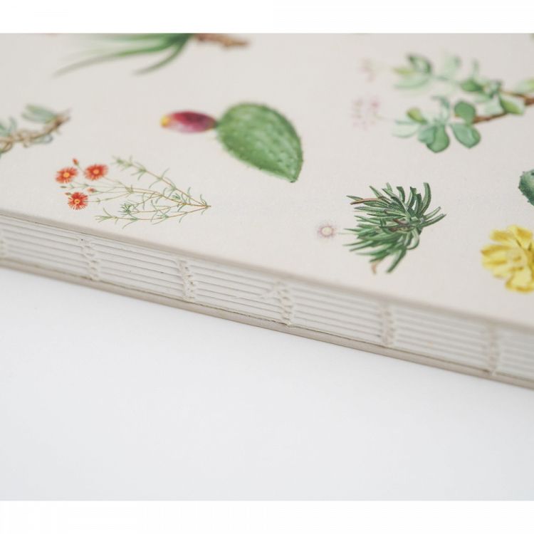 Premium Notebook A5 BOTANICAL Cacti by Kokonote