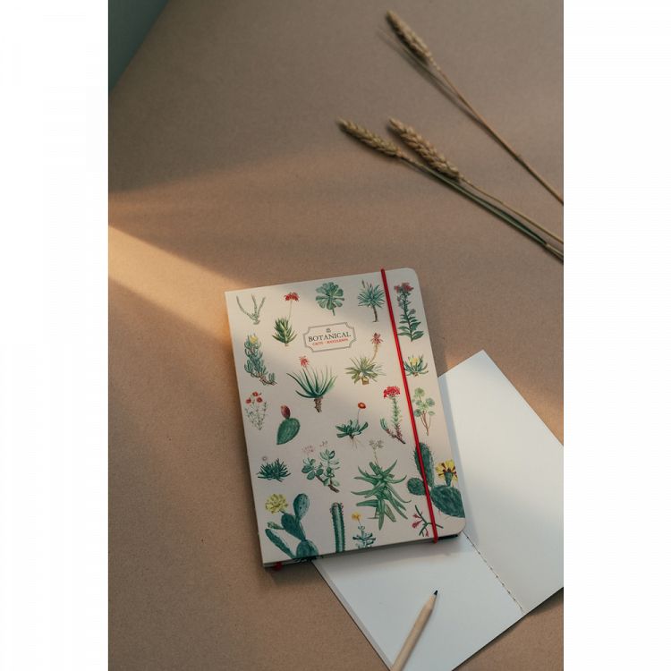 Premium Notebook A5 BOTANICAL Cacti by Kokonote