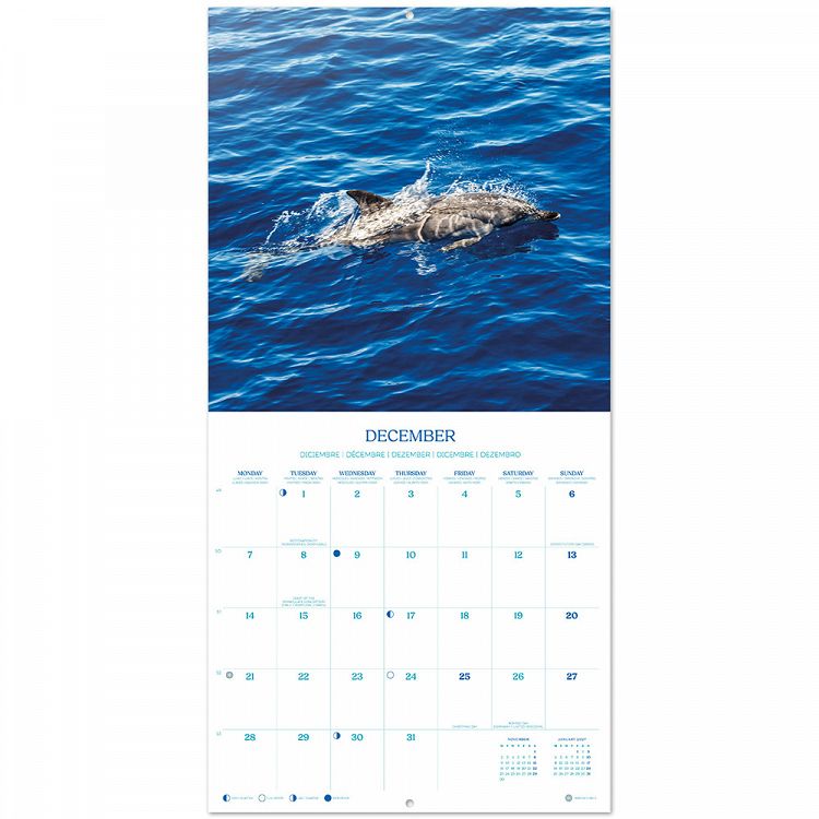Ημερολόγιο Τοίχου 2026 30X30εκ DOLPHINS