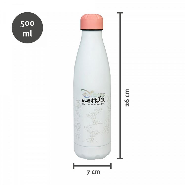 Metallic Thermos Bottle 450ml DISNEY 100th Anniversary