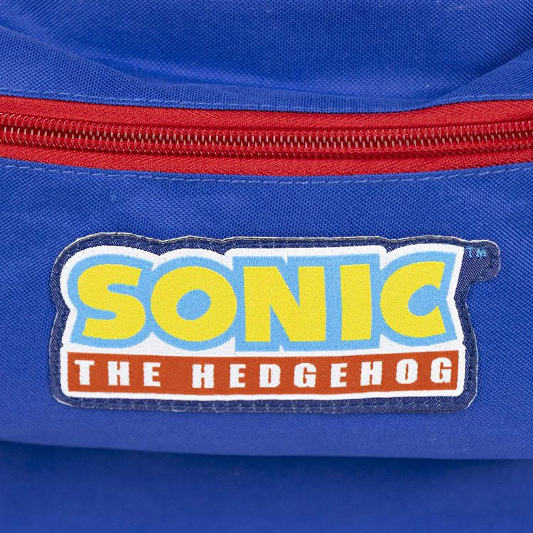 Set with Backpack + Pencil Case + Painting SONIC THE HEDGEHOG #4