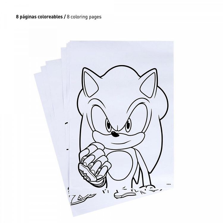 Set with Backpack + Pencil Case + Painting SONIC THE HEDGEHOG #4
