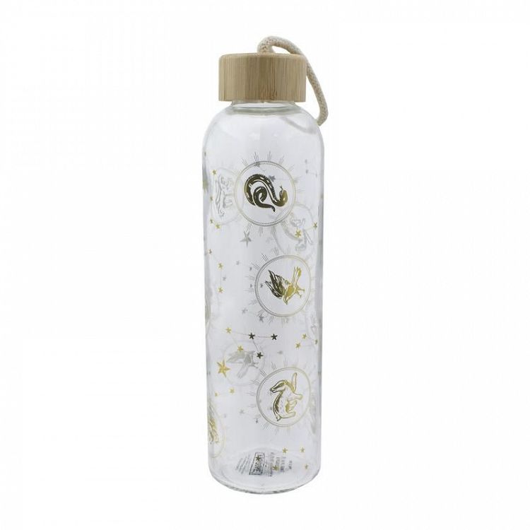 Glass Water Bottle 600ml HARRY POTTER Constellations