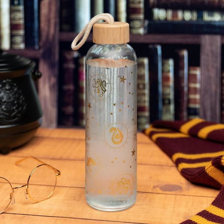 Glass Water Bottle 600ml HARRY POTTER Constellations
