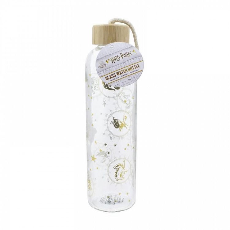 Glass Water Bottle 600ml HARRY POTTER Constellations