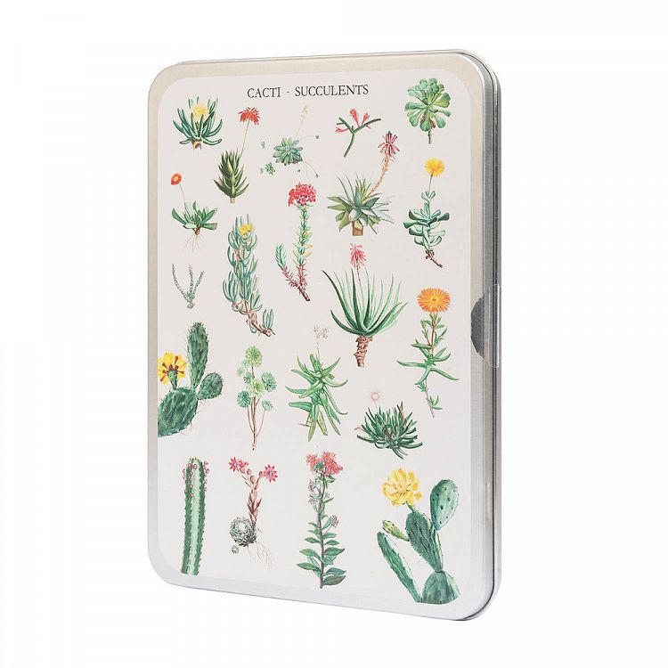 Puzzle 100pcs in metallic box BOTANICAL Cacti by Kokonote