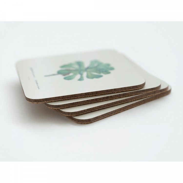 Set of 4 coasters BOTANICAL Cacti by Kokonote