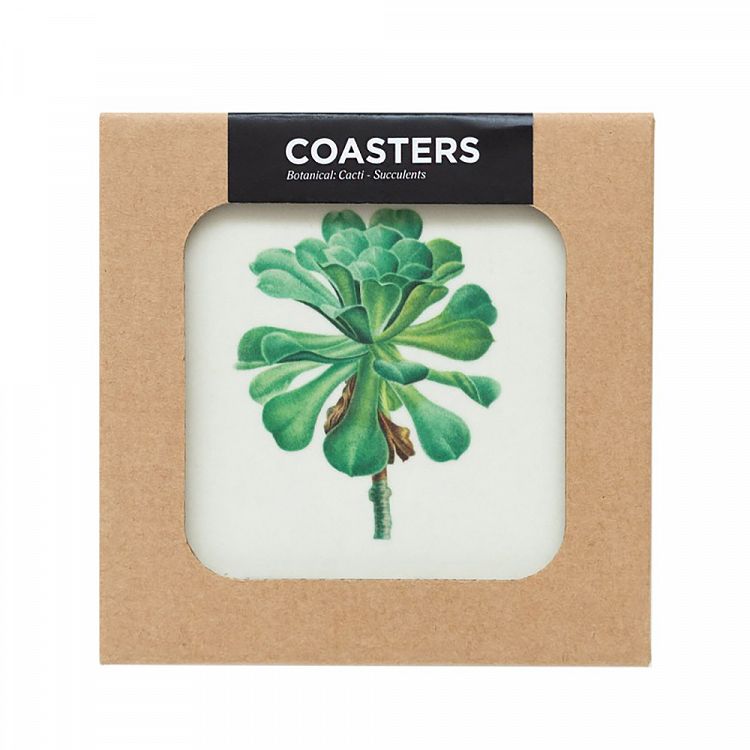Set of 4 coasters BOTANICAL Cacti by Kokonote