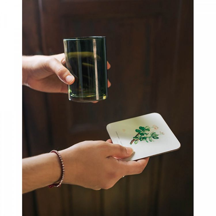 Set of 4 coasters BOTANICAL Cacti by Kokonote