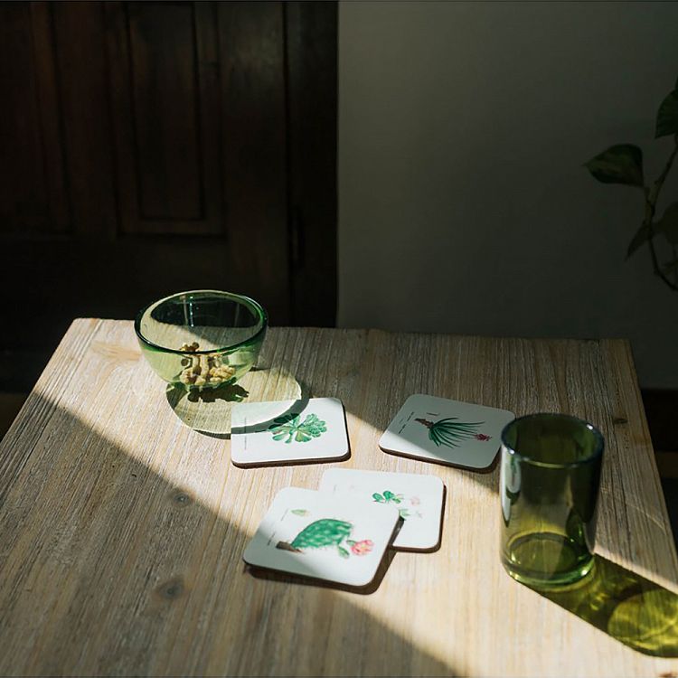 Set of 4 coasters BOTANICAL Cacti by Kokonote