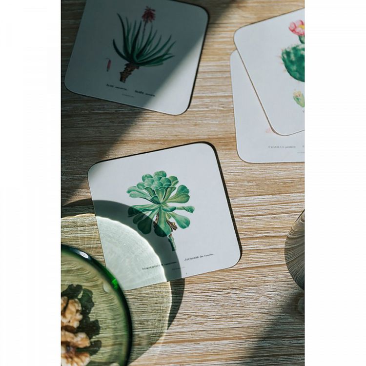 Set of 4 coasters BOTANICAL Cacti by Kokonote