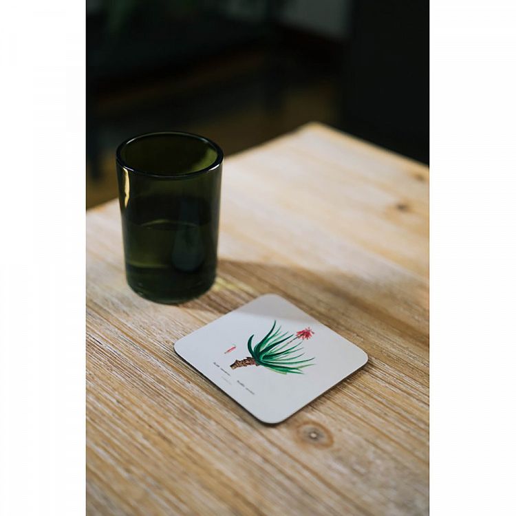 Set of 4 coasters BOTANICAL Cacti by Kokonote