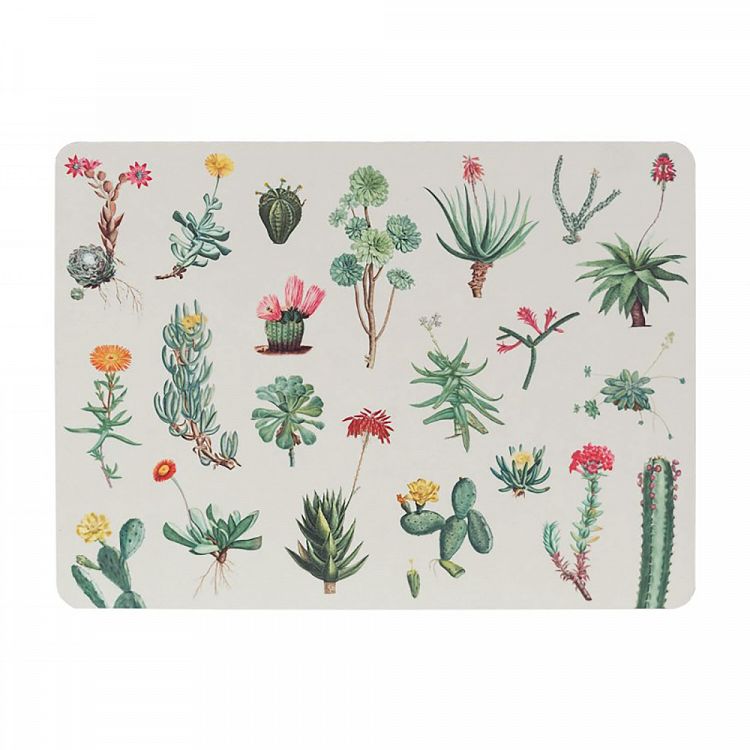Σετ 4 Σουπλά BOTANICAL Cacti by Kokonote