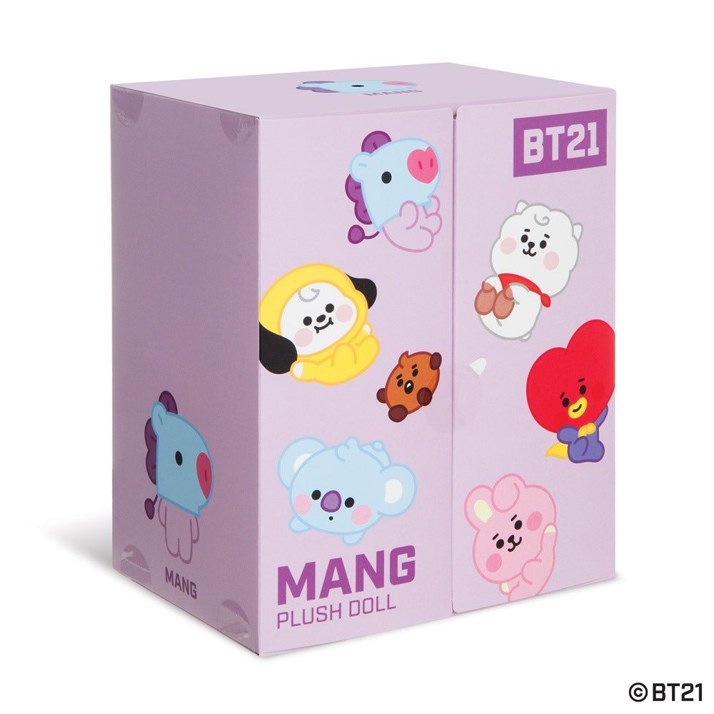 Small Soft Toy in Gift Packaging BT21 Baby Mang 20cm