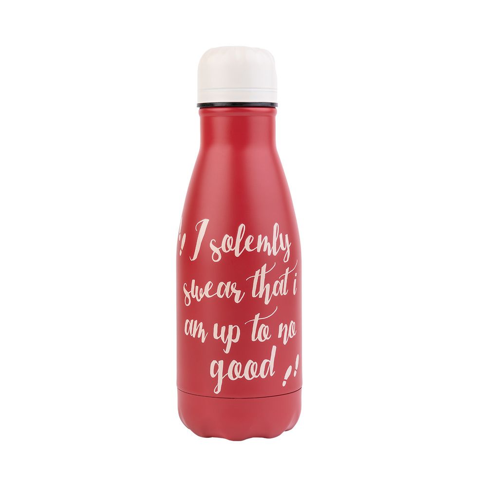 Metallic Bottle Hot&Cold 260ml HARRY POTTER