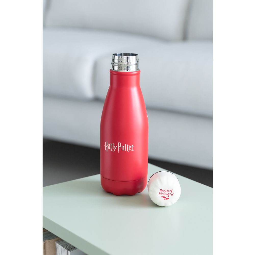 Metallic Bottle Hot&Cold 260ml HARRY POTTER