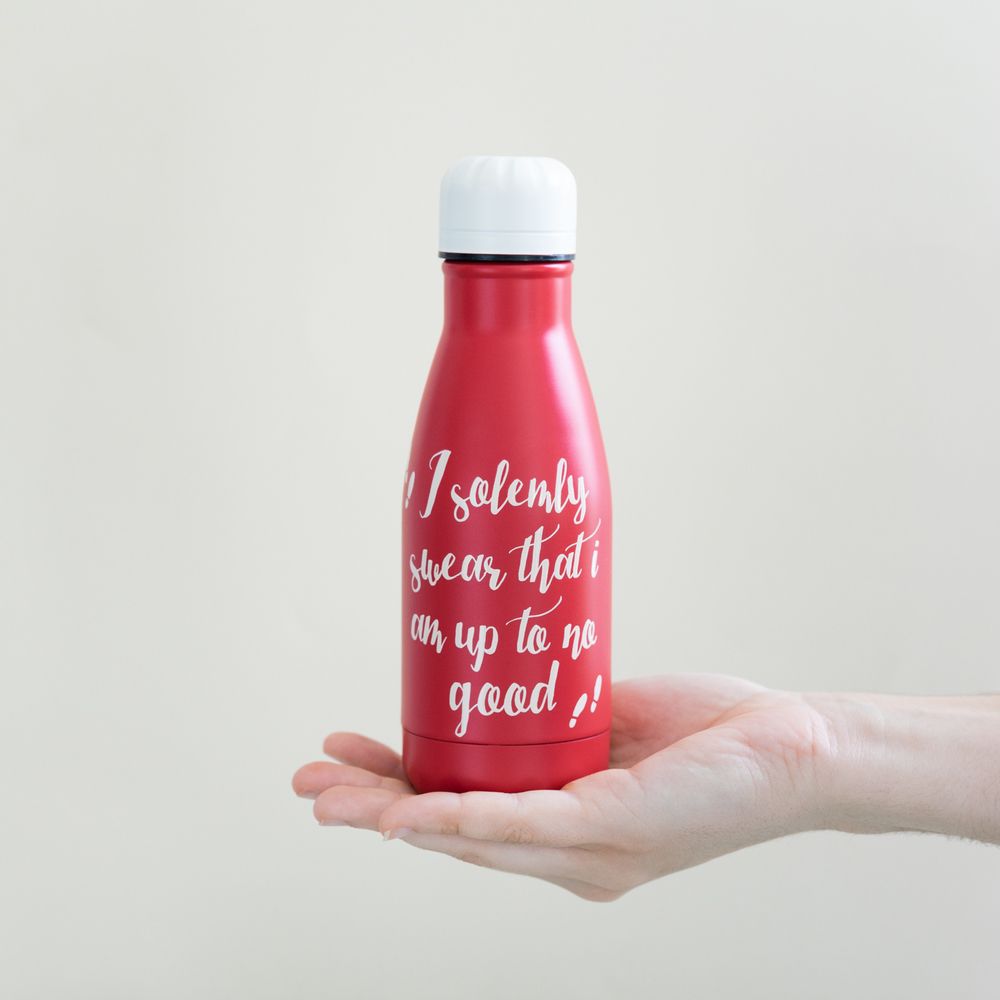 Metallic Bottle Hot&Cold 260ml HARRY POTTER