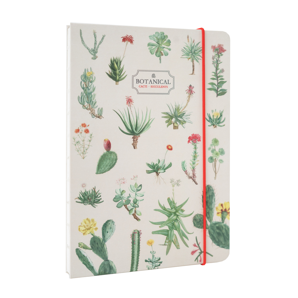 Premium Notebook A5 BOTANICAL Cacti by Kokonote