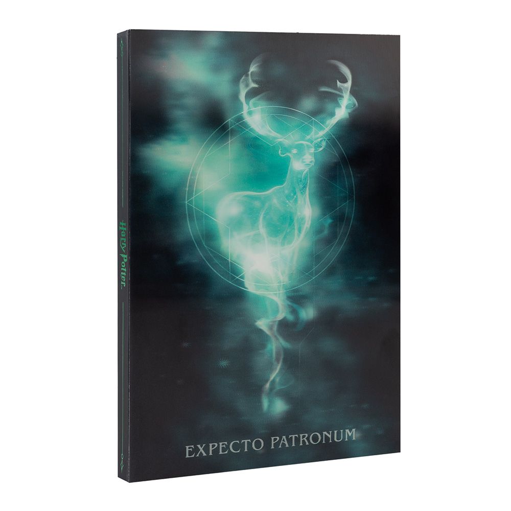Lenticular Notebook A5 HARRY POTTER