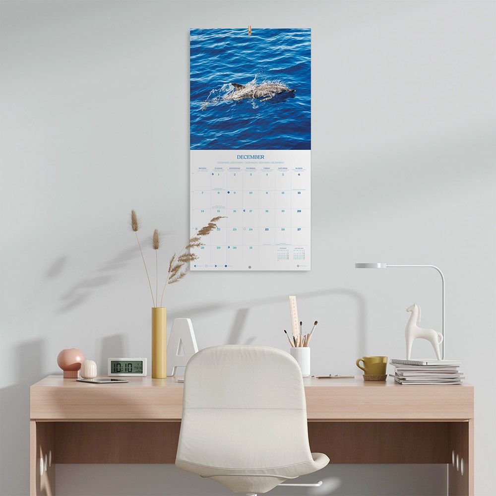 Ημερολόγιο Τοίχου 2026 30X30εκ DOLPHINS