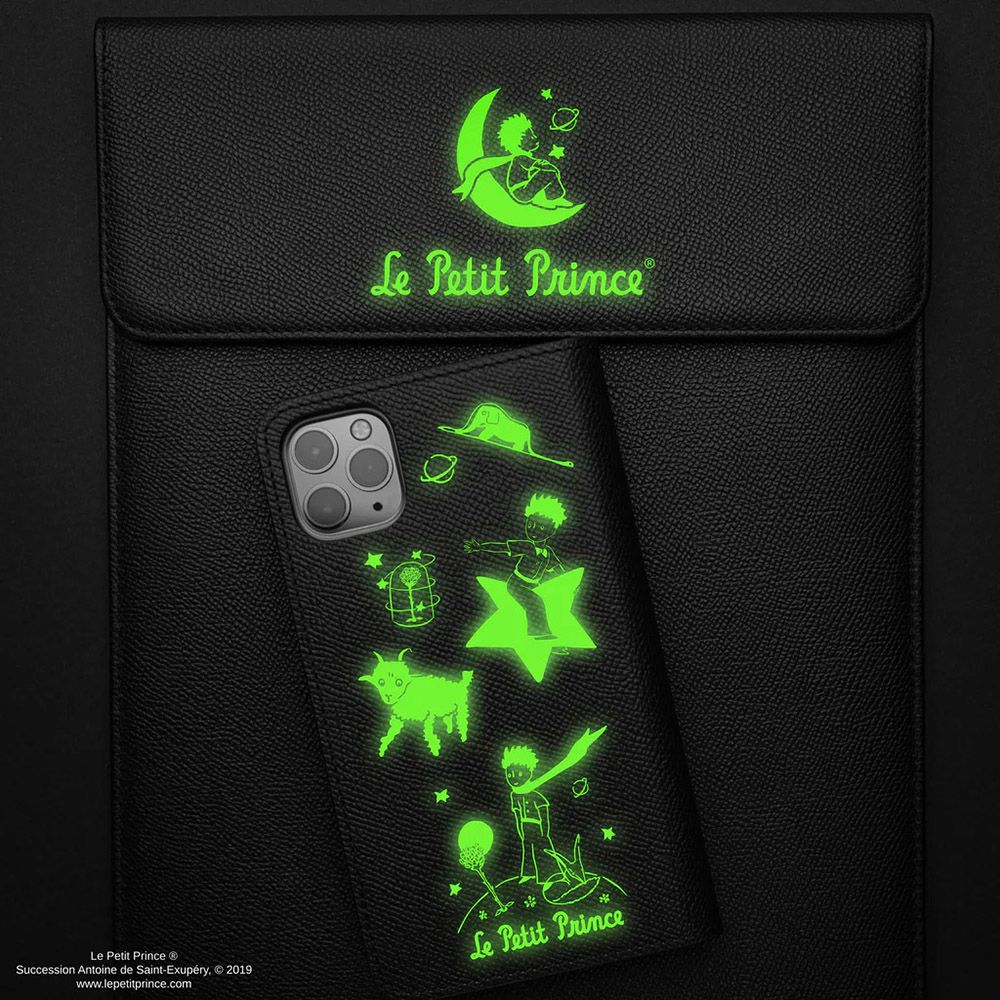 THE LITTLE PRINCE Glow In The Dark Stickers