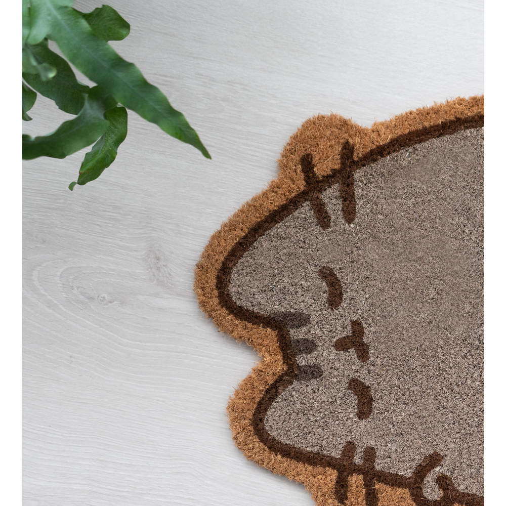 Πατάκι Εισόδου PUSHEEN