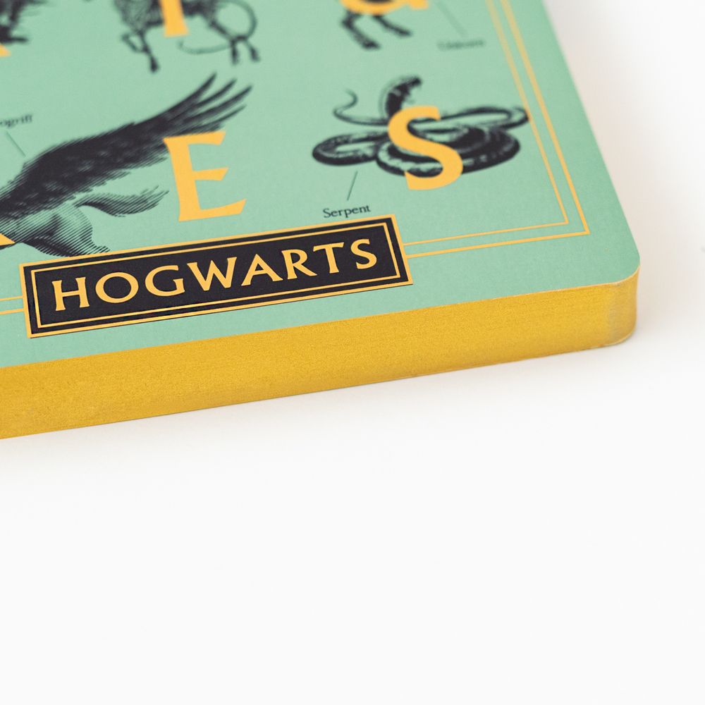 Notebook A5 HARRY POTTER Magical Creatures