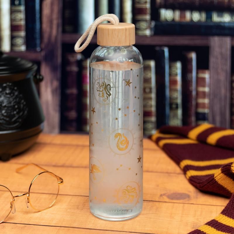 Glass Water Bottle 600ml HARRY POTTER Constellations