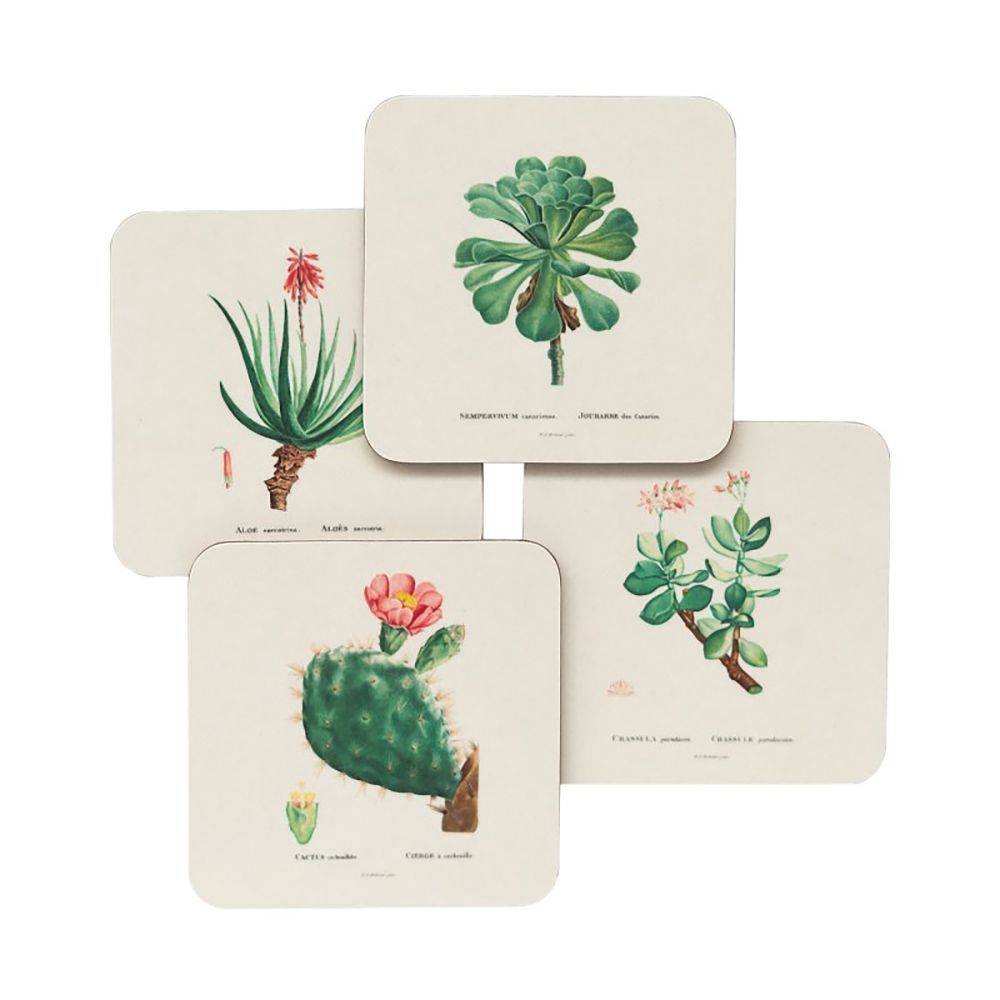 Set of 4 coasters BOTANICAL Cacti by Kokonote