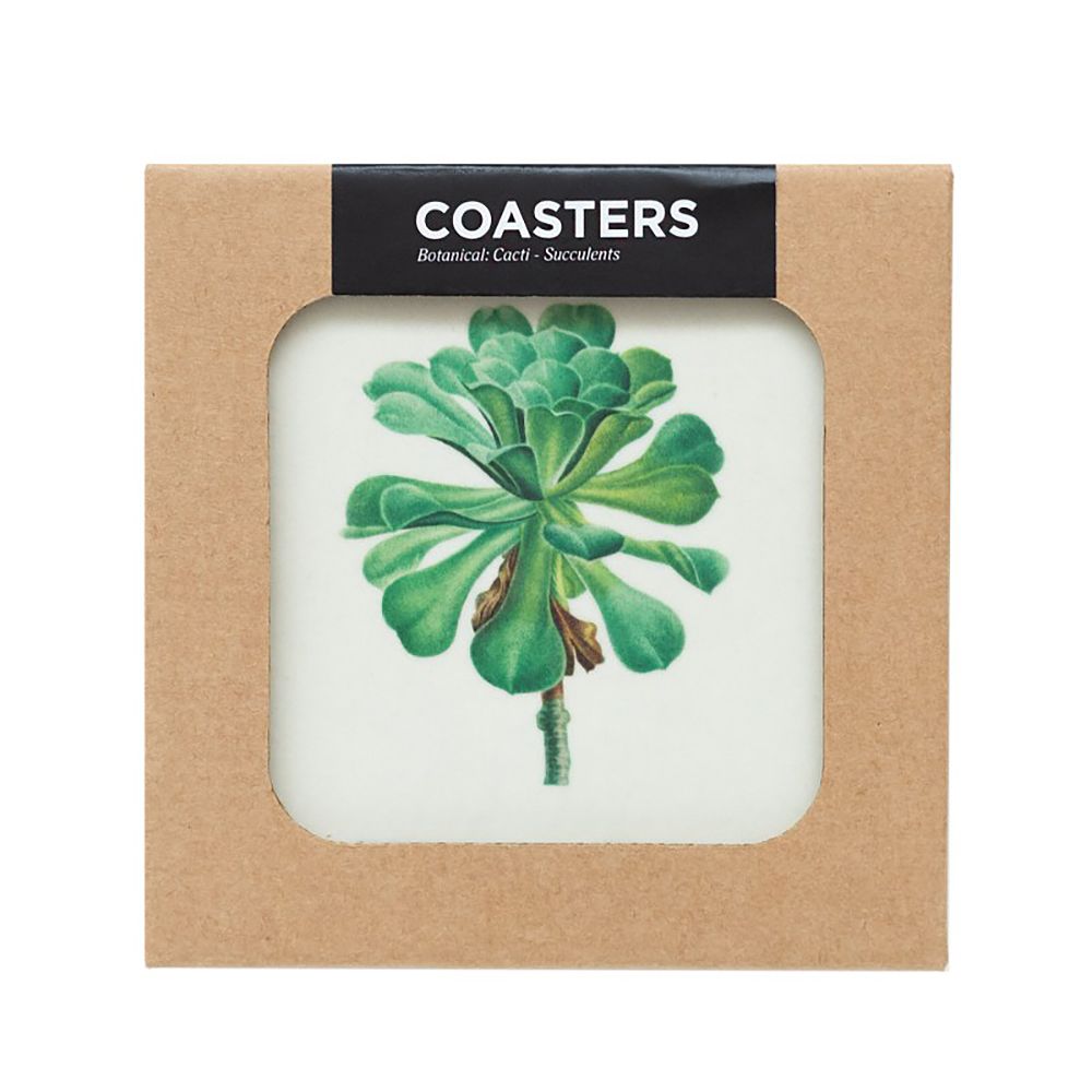 Set of 4 coasters BOTANICAL Cacti by Kokonote
