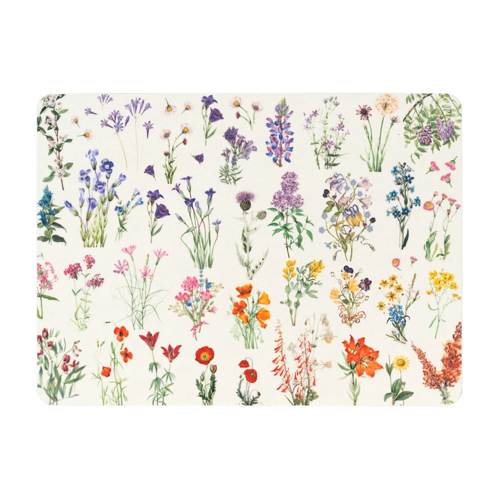 Set of 4 table mats BOTANICAL Wild Flowers by Kokonote