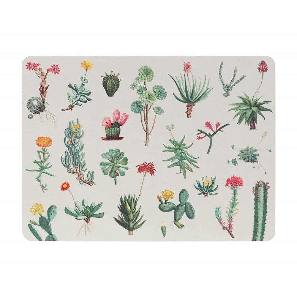 Σετ 4 Σουπλά BOTANICAL Cacti by Kokonote