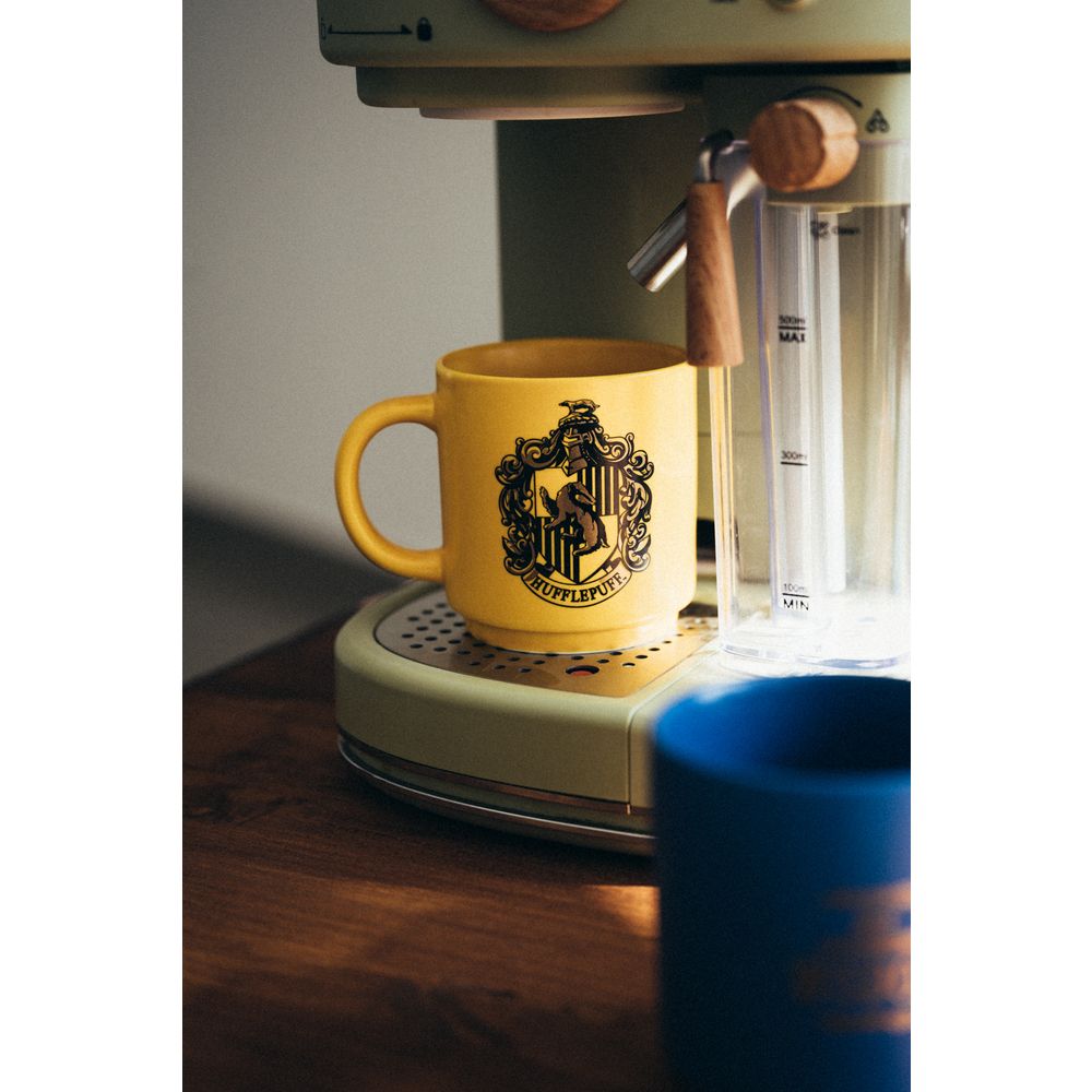 4 Mugs Set in Metallic Display HARRY POTTER